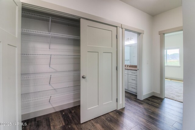 view of closet