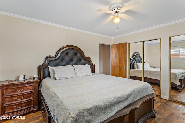 bedroom featuring multiple closets, dark wood-type flooring, ornamental molding, and a ceiling fan
