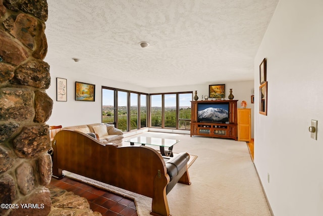 10800 Zier Rd, Yakima, WA 98908 - living area featuring a textured ceiling