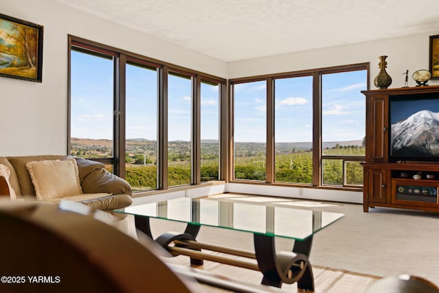 10800 Zier Rd, Yakima, WA 98908 - living area featuring carpet flooring