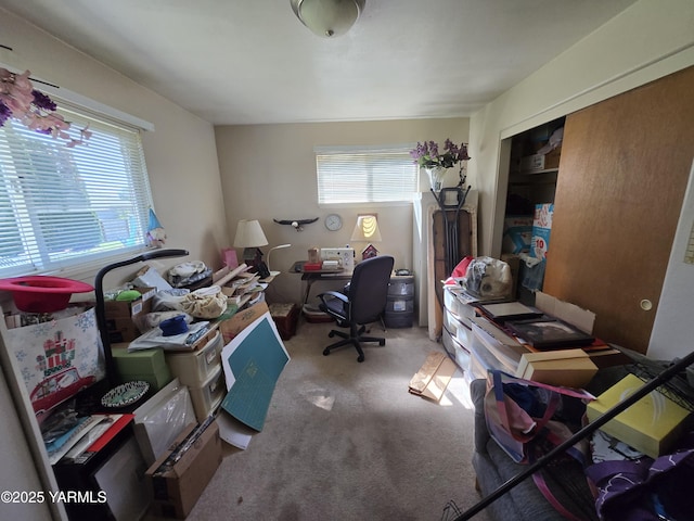 3204 W Viola Ave, Yakima, WA 98902 - view of carpeted office space