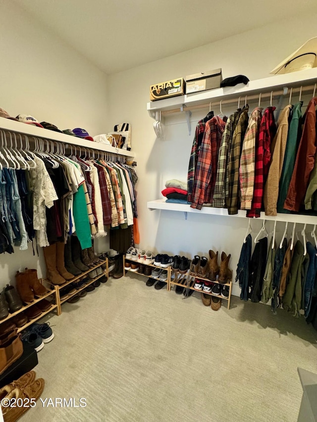 walk in closet featuring carpet floors