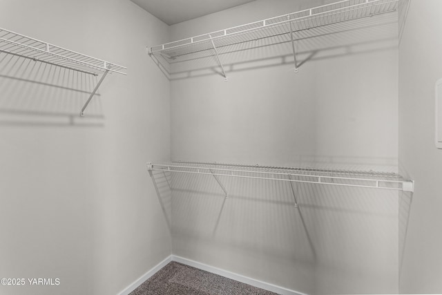 518 Chinook Winds Ln Lot 10, Tieton, WA 98947 - walk in closet featuring carpet flooring