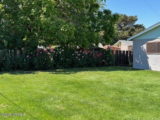 908 W 5th St, Grandview, WA 98930 - view of yard