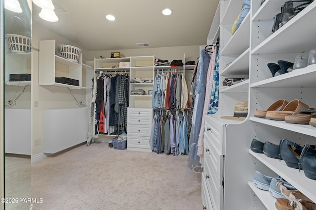 1893 Young Grade Rd, Yakima, WA 98908 - spacious closet with light colored carpet