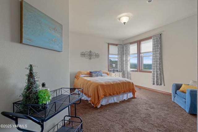 1893 Young Grade Rd, Yakima, WA 98908 - bedroom with carpet floors