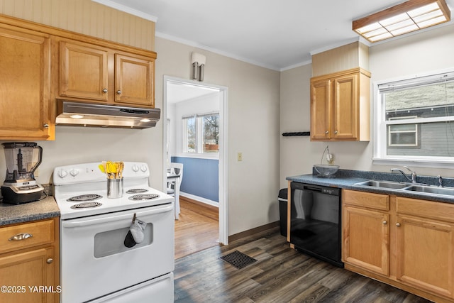 kitchen featuring electric stove, dishwasher, dark countertops, under cabinet range hood, and a sink