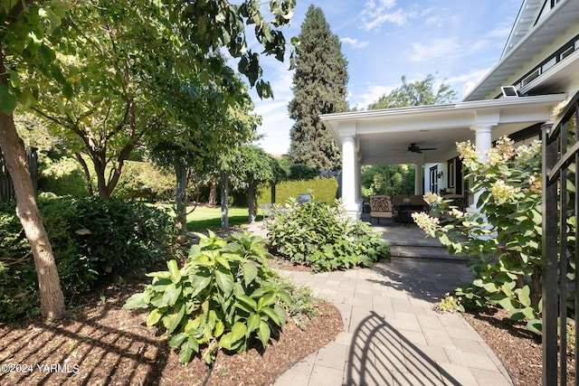 view of yard with a patio area, ceiling fan, and an outdoor hangout area