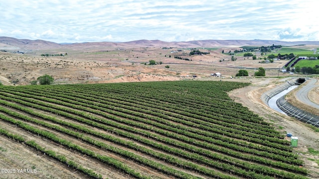 NKA Cheyne Rd, Zillah, WA 98953