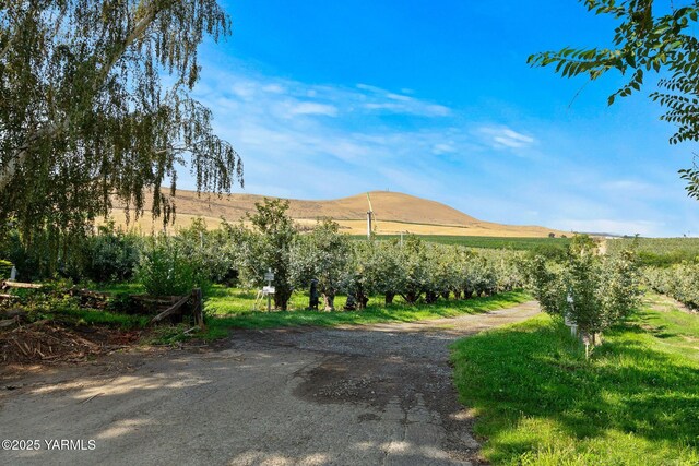 NKA Desmarais Rd, Moxee, WA 98936 - photo 8