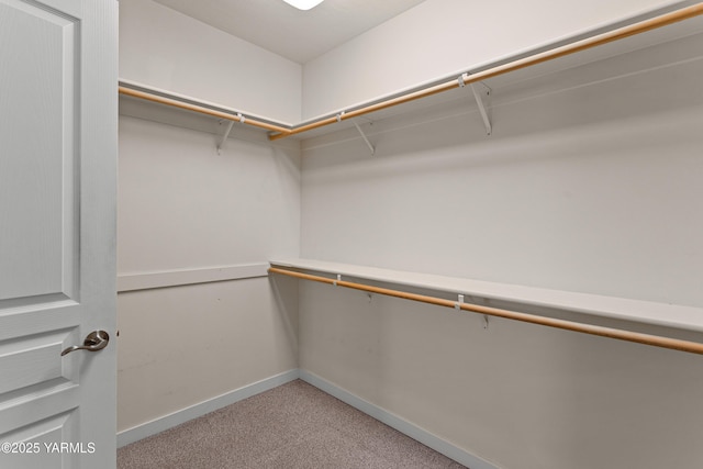 spacious closet with light colored carpet