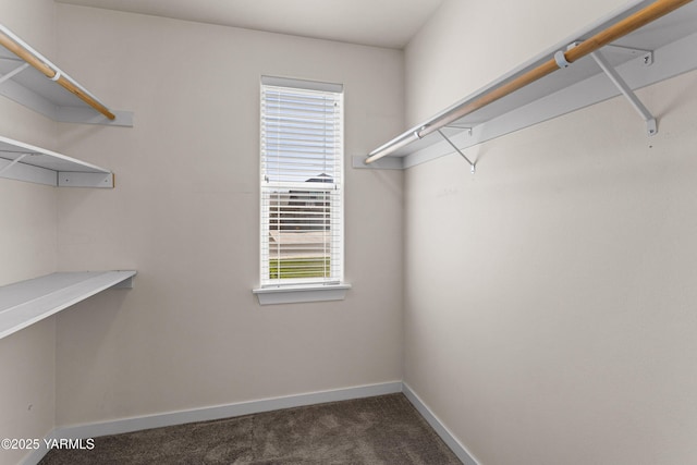 spacious closet featuring dark colored carpet