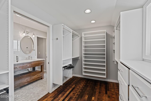 spacious closet featuring a sink and dark wood-style flooring