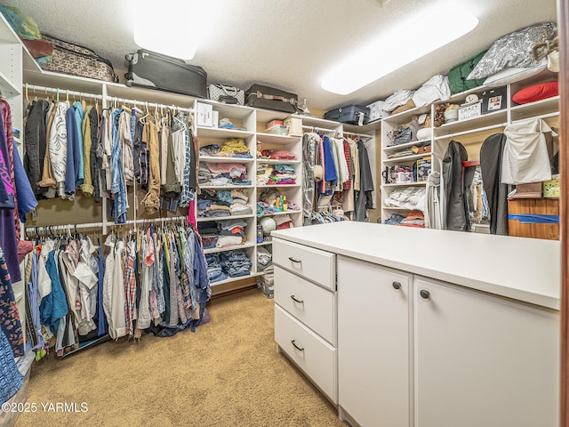 9203 W Yakima Ct, Yakima, WA 98908 - walk in closet featuring light carpet