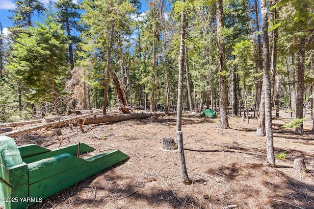 151 Bumping River Rd Unit 1, Naches, WA 98937 - photo 21