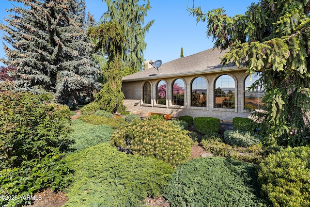 rear view of property with a shingled roof and a chimney
