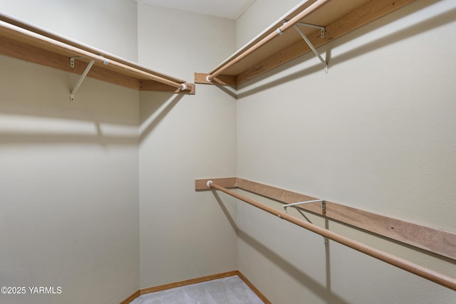 walk in closet featuring light colored carpet
