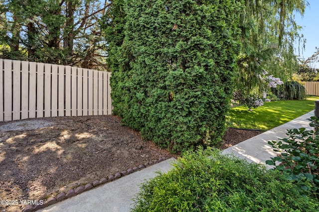 view of yard featuring a fenced backyard