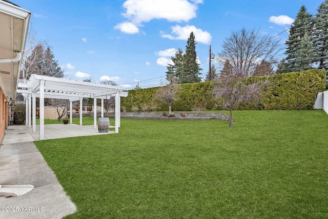 view of yard featuring a pergola, a patio area, and a fenced backyard