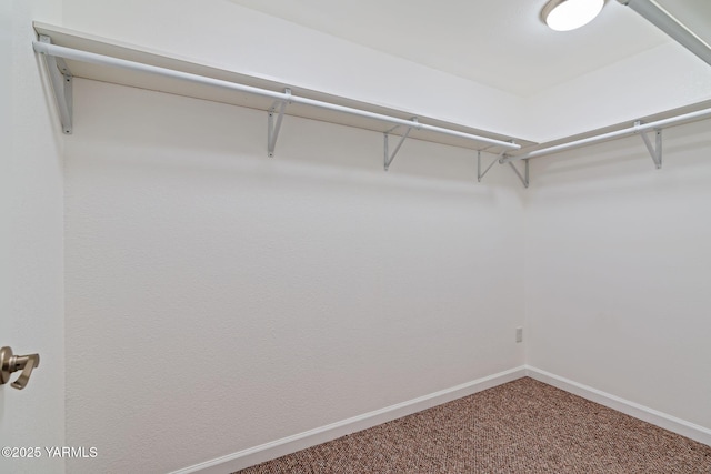 451 Pleasant Valley Pl, Yakima, WA 98908 - walk in closet featuring carpet flooring