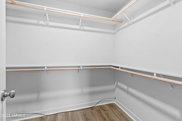5301 Sage Way, Yakima, WA 98901 - walk in closet featuring wood finished floors