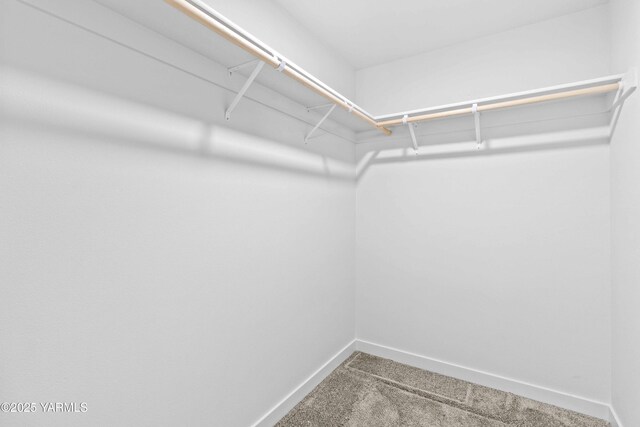 5301 Sage Way, Yakima, WA 98901 - walk in closet featuring carpet flooring