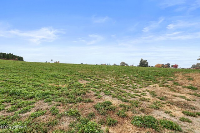 600 Schooley Rd, Zillah, WA 98953 - photo 6