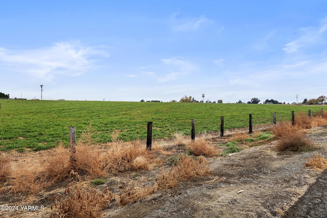 600 Schooley Rd, Zillah, WA 98953 - photo 3