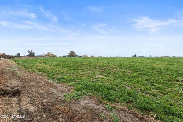 600 Schooley Rd, Zillah, WA 98953 - photo 7