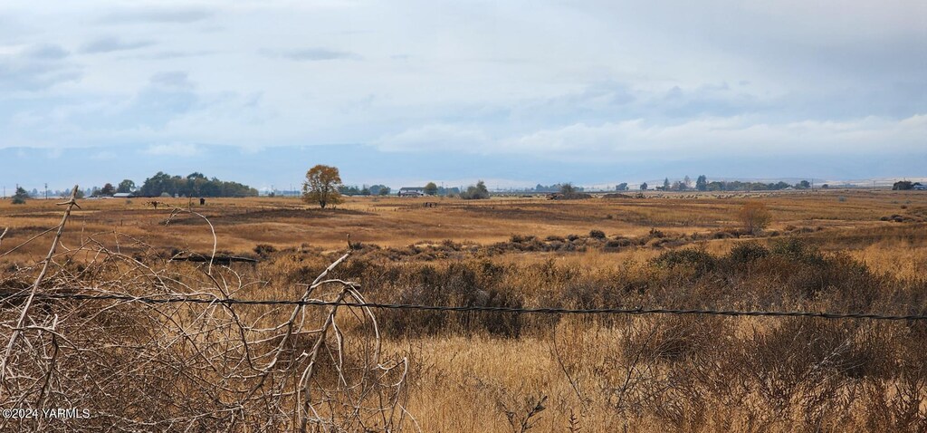 NKA Loudon Road, Harrah, WA 98933 - photo 3