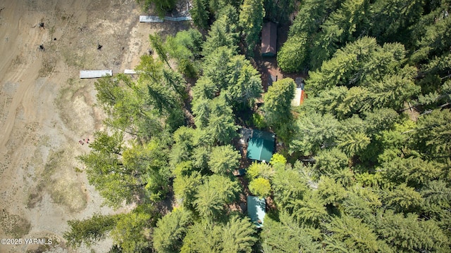 321 Bakers Ln, Easton, WA 98925 - photo 8