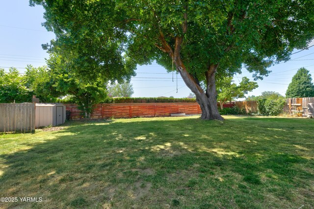 4504 W Lincoln Ave, Yakima, WA 98908 - fenced backyard featuring a storage unit