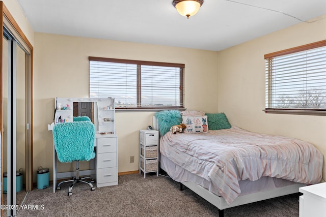 7773 N Wenas Rd, Selah, WA 98942 - carpeted bedroom featuring a closet
