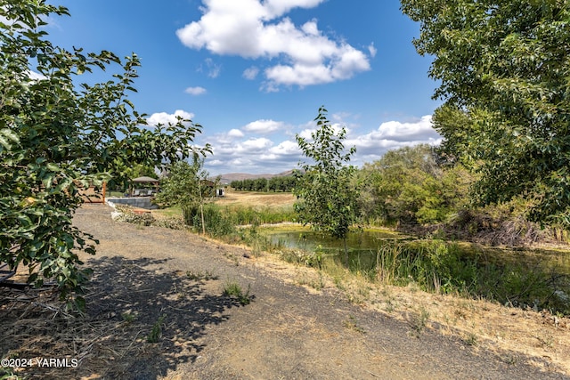 view of nature with a rural view and a water view