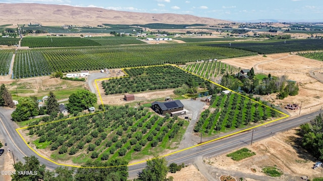 bird's eye view with a rural view and a mountain view