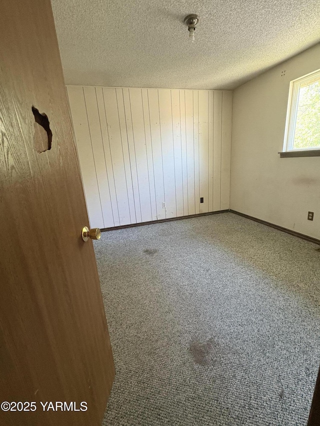 spare room with carpet flooring, wood walls, and a textured ceiling