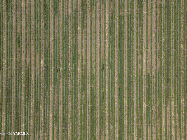 TBD Apricot Rd, Grandview, WA 98930 - photo 10