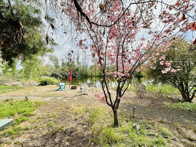 1465 Cook Rd, Yakima, WA 98908 - view of yard with a water view