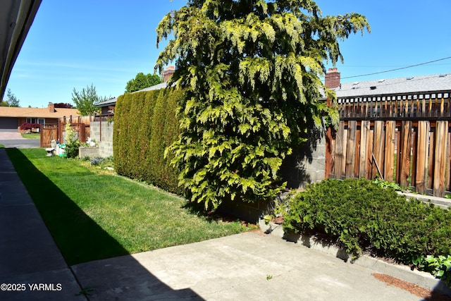 view of yard featuring a patio and fence