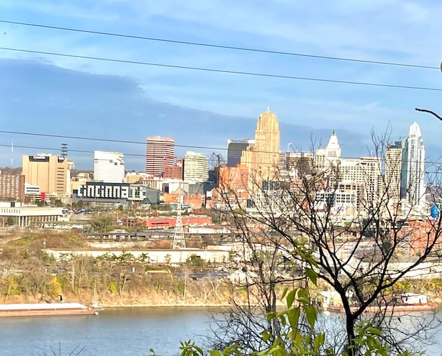 1399 Lexington St, Covington, KY 41016