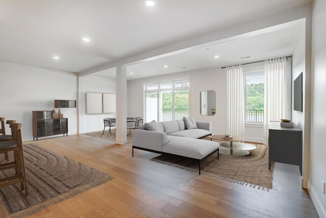 living room with wood-type flooring