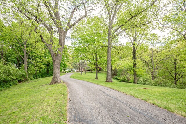 150 Shamrock Ln, Fort Thomas, KY 41075 - photo 4