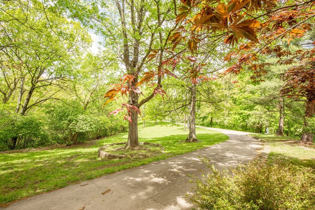 150 Shamrock Ln, Fort Thomas, KY 41075 - photo 6