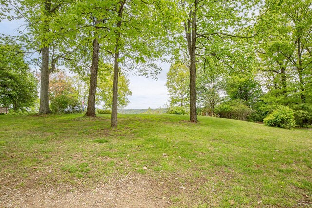 150 Shamrock Ln, Fort Thomas, KY 41075 - photo 14