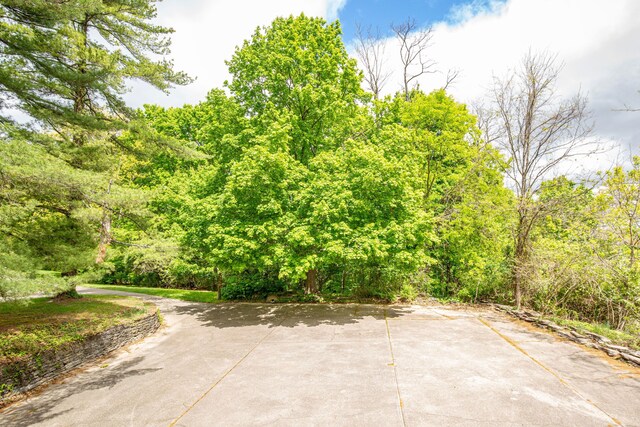 150 Shamrock Ln, Fort Thomas, KY 41075 - photo 47