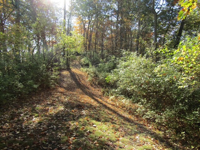 150 Shamrock Ln, Fort Thomas, KY 41075 - photo 9