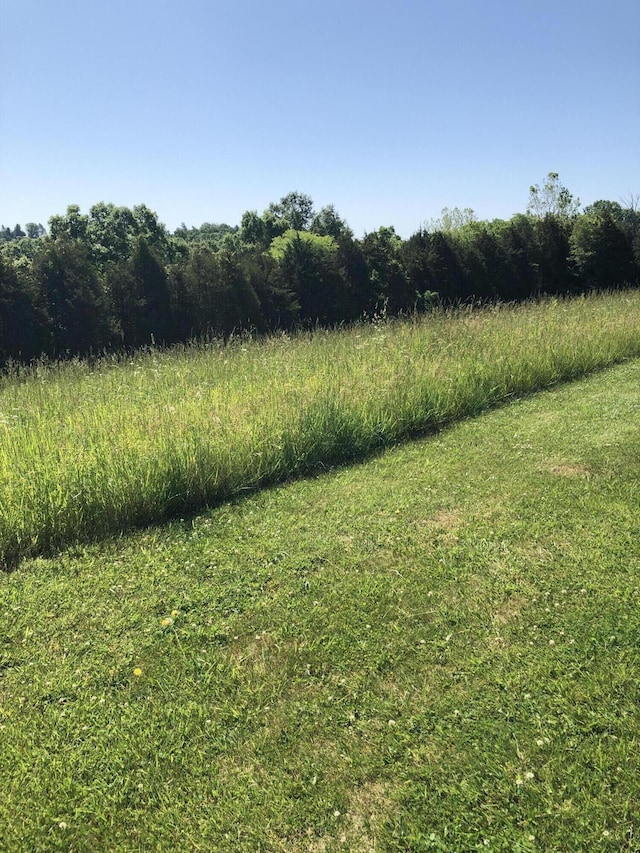 Listing photo 3 for LOT9A Adalin Dr, Demossville KY 41033