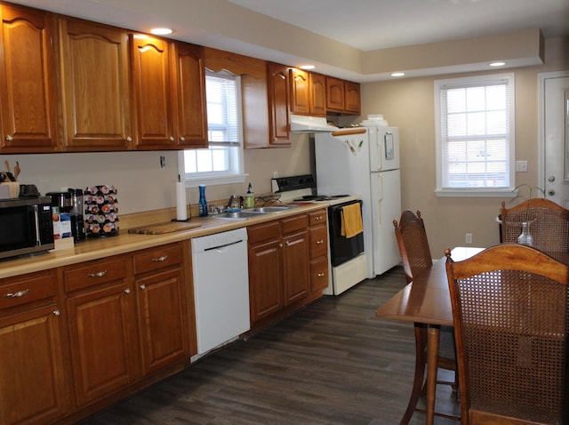 kitchen with white appliances, plenty of natural light, dark wood-type flooring, and sink