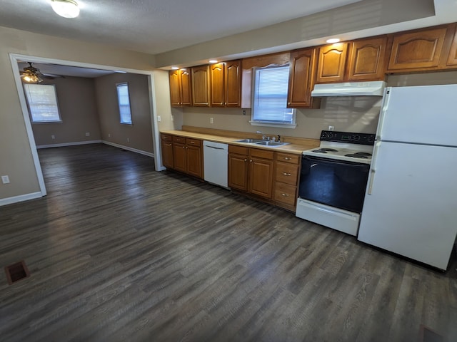 kitchen with white appliances, sink, plenty of natural light, and dark hardwood / wood-style flooring