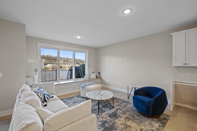 living room featuring light hardwood / wood-style flooring